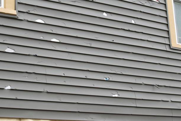 Best Siding Removal and Disposal  in Westville, NJ