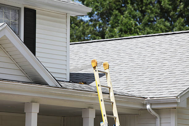 Best Fascia and Soffit Installation  in Westville, NJ